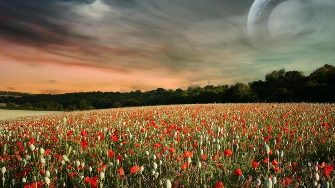 如果不是那场大火，汕头现在会是什么水平？